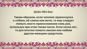Шейх Ибн Баз - Что делать, если прикоснулся к собаке?