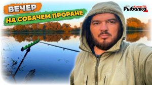 Вечерняя рыбалка на Собачем проране.Ловля на фидер осенью.