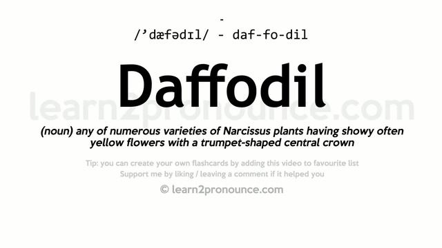 Pronunciation of Daffodil | Definition of Daffodil смотреть онлайн