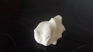 Лепим макет клетки животного, задание по биологии 5 класс