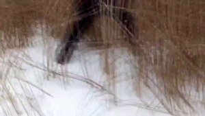 Изготовление засидки на утку.