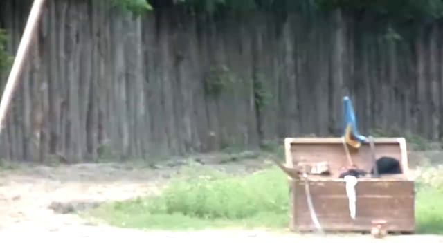 Запорожские казаки смотреть онлайн