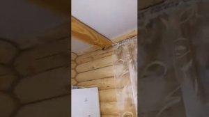 потолки владимир.в срубе