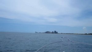 Bayliner 2556 tribute