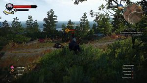 Witcher 3 Master Marksman / Меткий стрелок (бесконечные мобы \ unlimited mobs)