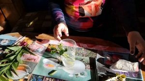 Размножение флоксов осенью