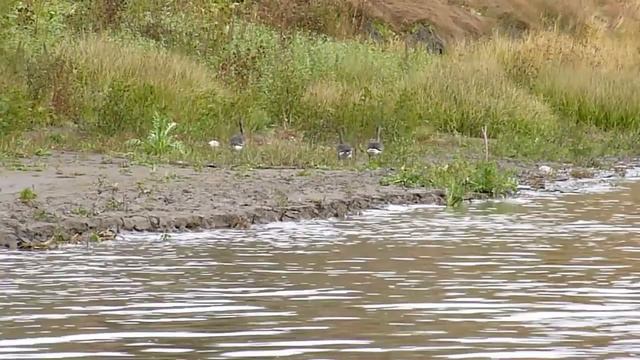 Один на реке, или закрытие сезона 2020. смотреть онлайн