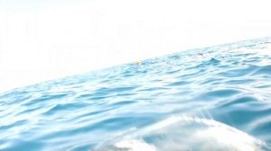 В поисках тунца 2021 Владивосток подводная охота