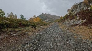 Роза хутор тропа чемпионов