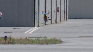 3D пилотирование