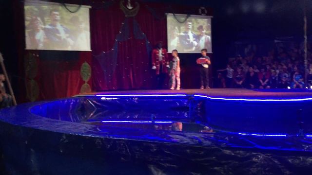 Цирк Ривьра Харьков смотреть онлайн