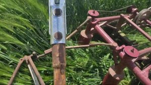самодельная косилка ,косим ячмень на сено.homemade mower