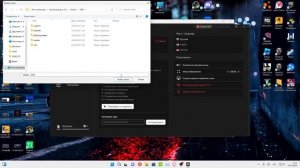 ОШИБКА NETWORK GRAPHICS Выбор дериктории