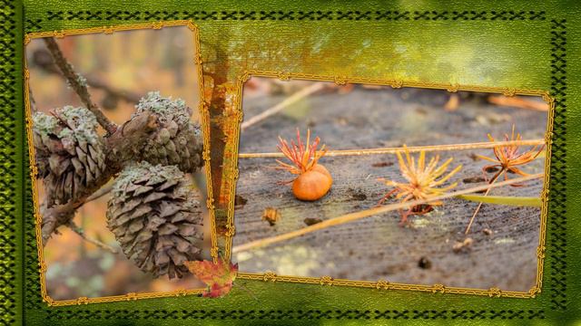 ОСЕННЯЯ СИМФОНИЯ (Autumn Symphony) смотреть онлайн