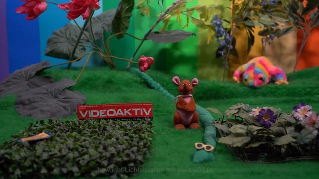 Testvideo: Sony Alpha 7 III смотреть онлайн