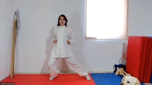 Ознакомительный урок тайцзицюань смотреть онлайн