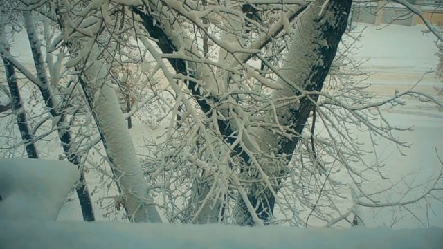 Все повторяется Снег в Кишиневе 5 лет назад Зима 2019 в Молдове на Буюканах 11012019