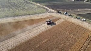 Уборка сои 2021 год