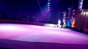 цирк, жонглирование, выступление артистов, представление, клоун, circus, juggler, clown, performanc