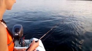 Жерех на Волге.  Волгоградская рыбалка