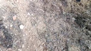 ΖΗΣΕ ΧΩΡΊΣ ΑΝΤΊΧΡΙΣΤΟ (4)