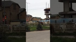 Ресторан Падишах г Каспийск