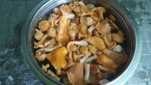 Жареные лисички в сметане с луком