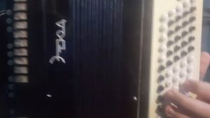 Сектор газа Колхозный панк Разбор на Баяне