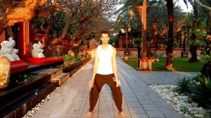 Цигун для сердца. Эмоциональный баланс