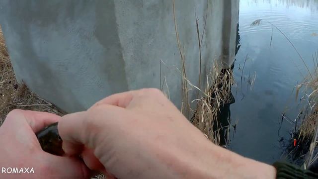 СУПЕР КЛЁВ ВЕСЕННЕГО КАРАСЯ НА ПОПЛАВОЧНУЮ УДОЧКУ. Поклёвки крупным планом. Долгожданная рыбалка смотреть онлайн