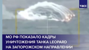МО РФ показало кадры уничтожения танка Leopard на запорожском направлении #shorts