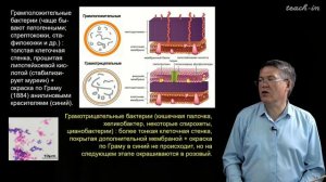 Дубынин В.А. - 100 часов школьной биологии - 2.9. Строение клетки