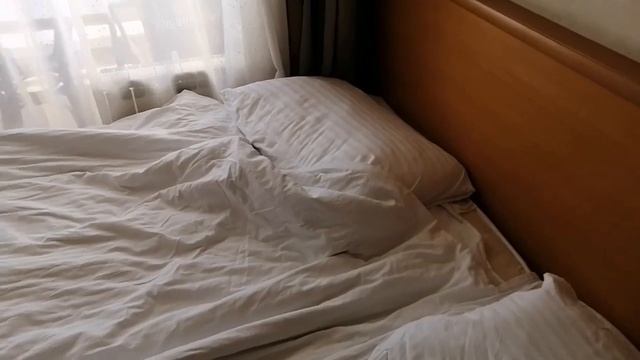 Первый день в отеле Жемчужина г. Сочи. Реальный обзор. Мы в шоке???