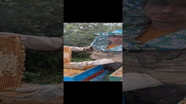 снимаем магазины на домашнем точке
