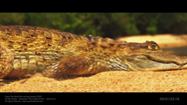 Score The World contest - Ray Sharp - Submission смотреть онлайн