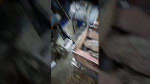 измельчитель коры своими руками
