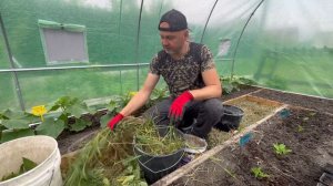 Зелёное удобрение.Бродилка.