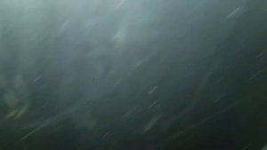 Топ-Драйв печь длительного горения от Теплодар. Бутаков-спарка: двойные конвектора - удвоенная мощь