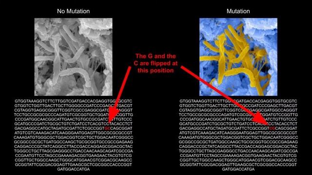 Cells: Level 3 смотреть онлайн