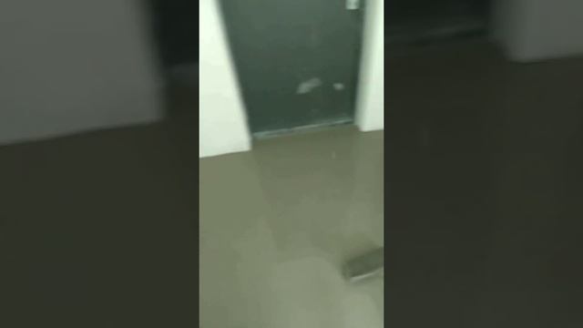 Weber Vetonit 3000. Когда результат радует смотреть онлайн