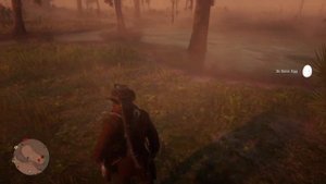 Red Dead Redemption 2 - Alligator Eggs Locations