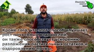 ОПРЫСКАЙТЕ ПОЧВУ ОСЕНЬЮ ЭТИМ СРЕДСТВОМ и ИЗБАВЬТЕСЬ ОТ БОЛЕЗНЕЙ! Без купороса, и марганцовки.