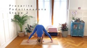 Beginners Yoga Course | Module B, Class 1 | 48 min | Cat de Rham | Online Yoga Teaching