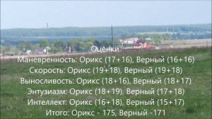 ЧР по курсингу 2016. Уиппеты Верный - Орикс. Забег с 2х камер.