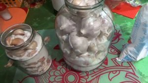 Как СОХРАНИТЬ Чеснок на Зиму! Хранение Чеснока