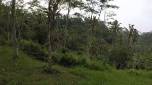 Bali. Pura Gunung Kawi