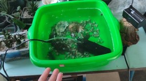 Наш "Улов". Принимаем в дар Аква ненужности