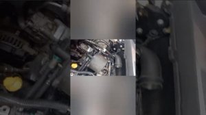 фрилендер 2,течь масляного теплообменника.