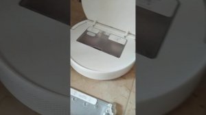 О чем не говорят. Робот пылесос с влажной уборкой