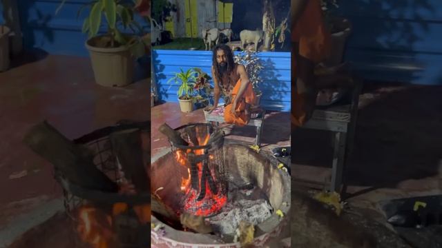 Мой Гуру Йогананда Свами после онлайн медитации с учениками. смотреть онлайн